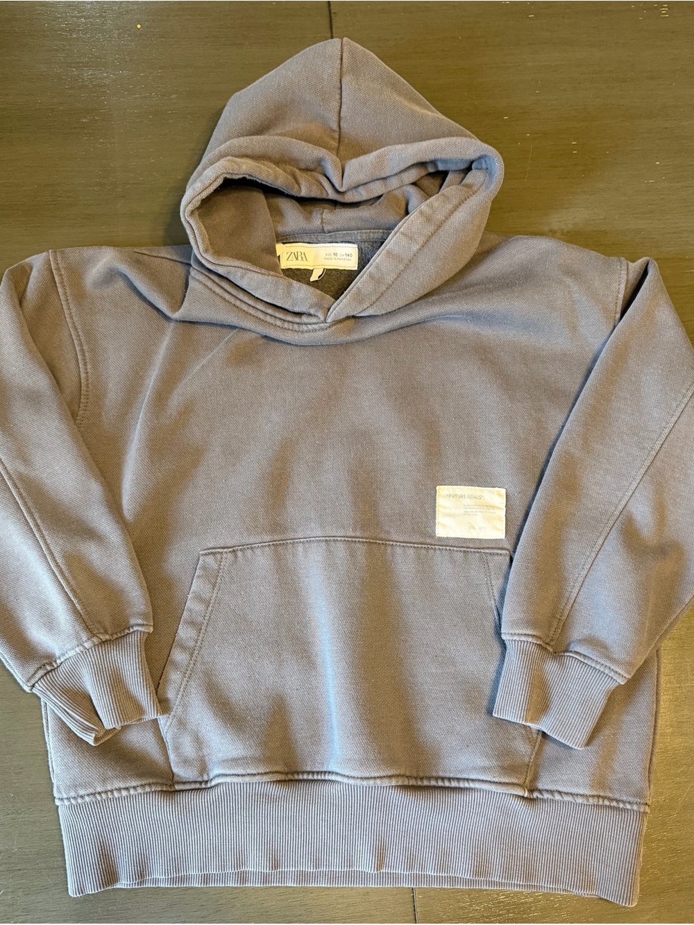 Zara Boy’s Hooded Sweatshirt in Gray